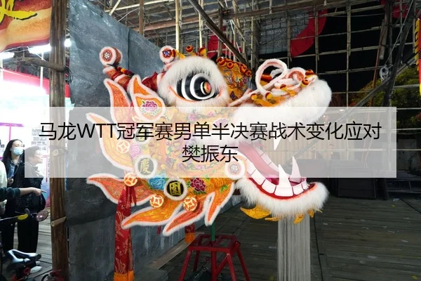 ma-long-guan-jun-sai-nan-dan-ban-jue-sai-zhan-shu-bian-hua-ying-dui-fan-zhen-dong-2-184.jpg