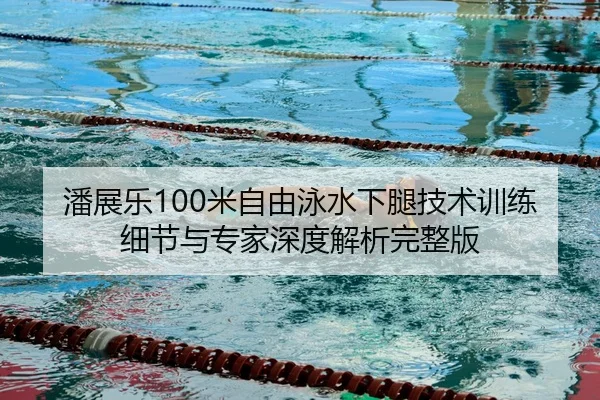 pan-zhan-le-mi-zi-you-yong-shui-xia-tui-ji-shu-xun-lian-xi-jie-yu-zhuan-jia-shen-du-jie-xi-wan-zheng-ban-2-333.jpg