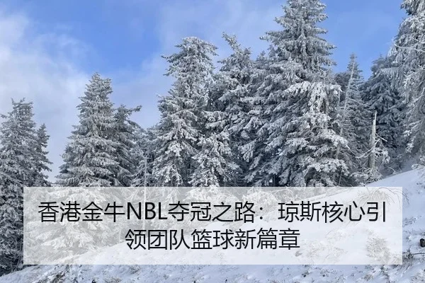 香港金牛NBL夺冠之路：琼斯核心引领团队篮球新篇章