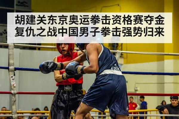 胡建关东京奥运拳击资格赛夺金复仇之战中国男子拳击强势归来