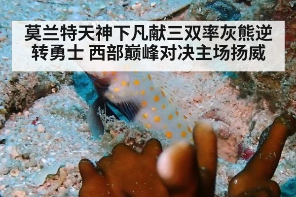 莫兰特天神下凡献三双率灰熊逆转勇士 西部巅峰对决主场扬威
